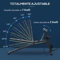 HOMCOM Banco de Musculación Plegable con Respaldo Regulable Extensión de Pierna Cojín de Predicador Banda 160x54x106 cm Negro(m-4)