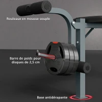 HOMCOM Banc de musculation Fitness banc d'haltérophilie entrainement complet dossier réglable curler(m-7)