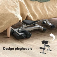 SPORTNOW Panca Romana Regolabile e Pieghevole Multifunzione, Capacità 150 kg, Argento(m-7)