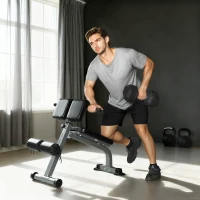 SPORTNOW Panca Romana Regolabile e Pieghevole Multifunzione, Capacità 150 kg, Argento(m-2)