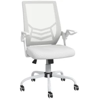 Vinsetto Mesh Office Chair, Computer Desk Chair with Flip-up Armrests, Lumbar Back Support and Swivel Wheels, White(m-1)