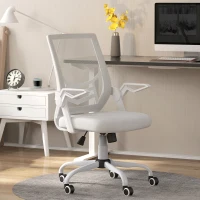 Vinsetto Mesh Office Chair, Computer Desk Chair with Flip-up Armrests, Lumbar Back Support and Swivel Wheels, White(m-10)