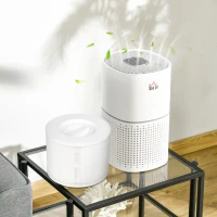 HOMCOM Purificateur d'air + Filtre pour purificateur d'air Ioniseur CADR 225m³/h minuterie 4 vitesses filtre à charbon actif(m-10)