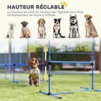 PawHut Agility sport pour chiens set de 4 obstacles professionnels avec système de maintien au sol sac transport fourni(m-4)