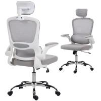 HOMCOM Mesh Back Office Chair, with Lumbar Support - Grey(m-10)
