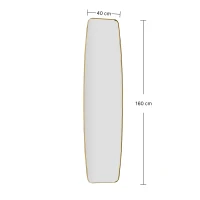 HOMCOM Espejo de pared Espejo con marco metálico Espejo decorativo colgante Espejo de pasillo, 160 x 40 x 3 cm, Dorado(m-3)