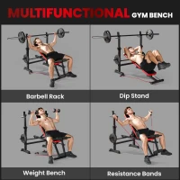SPORTNOW Adjustable Weight Bench with Squat Rack and Dip Stand(m-4)