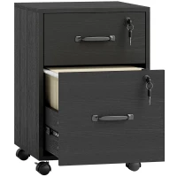 HOMCOM Rolling File Cabinet with 2 Drawers, Mobile Filing Cabinet with Hanging File Folder for Letter Sized Documents, Black(m-1)