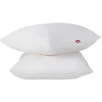 ABEIL Lot de 2 Oreillers Douceur - 60 x 60 cm - Blanc(m-5)