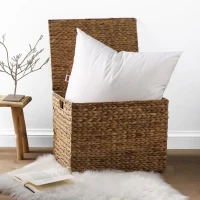 2 Oreillers Belle Nuit 60x60(m-3)