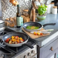 Set de 2 poeles aspect pierre - LIVOO - MEN124GR - Revetement antiadhésif - Ø 24 et 28 cm - Manche silicone - Tous feux(m-6)