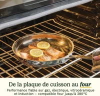 Batterie de cuisine - Tous feux dont induction - CUISINART - 77-11G - Acier inoxydable - 11 pieces(m-6)