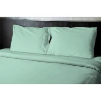 Drap plat - HOME LINGE PASSION - HP72095 - Microfibre 82 g - 240 x 300 cm - Vert d'eau(m-2)