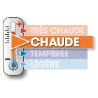 Pack linge de lit Microfibre - 1 Couette chaude 220x240 cm + 2 Oreillers 60x60 cm blanc(m-2)