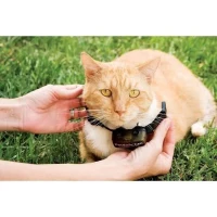 PetSafe - Clôture Anti-Fugue Deluxe avec Collier spécial Chat - Étanche - 4 Niveaux de Stimulation – Systeme Anti-étranglement(m-4)