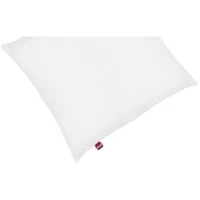 ABEIL Lot de 2 Oreillers Douceur - 60 x 60 cm - Blanc(m-4)