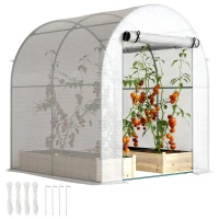 Outsunny Walk in Polytunnel Greenhouse, Green House for Garden with Roll-up Window and Door, 1.8 x 1.8 x 2 m, White(m-10)