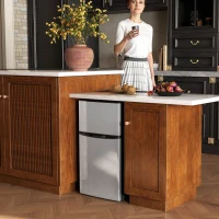 HOMCOM Mini Nevera Silenciosa 88 L Clase E Bajo Encimera Temperatura Regulable 5 Niveles Puerta Reversible Luz Interior Negro(m-2)