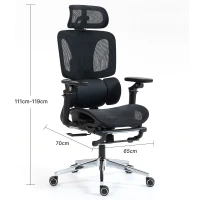 HOMCOM Scaun de birou ergonomic Scaun pentru birou cu suport lombar și suport cap reglabile, cotiere 5D rabatabile, suport picioare, plasă Negru(m-3)