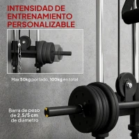 SPORTNOW Máquina Polea Alta y Baja de Pared de Doble Polea Ajustable en 15 Posiciones Multifunción Lat Pulldown para Gimnasio(m-6)