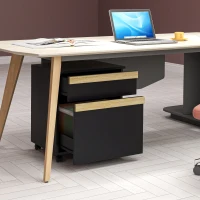 Vinsetto Gaveteiro de escritório com rodízios com 2 gavetas deslizantes organizador de pastas 48 x 40 x 59,5 cm preto(m-6)