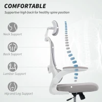 HOMCOM Mesh Back Office Chair, with Lumbar Support - Grey(m-4)