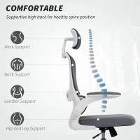 HOMCOM Mesh Back Office Chair, with Lumbar Support - Charcoal Grey(m-4)
