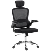 HOMCOM Mesh Back Office Chair, with Lumbar Support - Black(m-1)