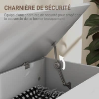 HOMCOM Coffre de rangement, coffre à jouets, avec charnière de sécurité, pour salon, en bois, 80 x 40 x 45 cm, blanc(m-5)