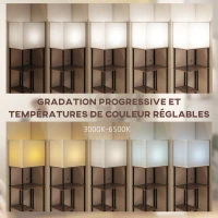 HOMCOM Lampadaire avec étagères, lampadaire sur pied de salon dimmable, télécommande, 40 x 29 x 171 cm, brun rustique(m-4)