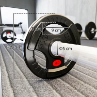 SPORTNOW Set Discuri de 5kg cu gaură de 5cm și trei mânere, din oțel și plastic negru(m-3)