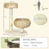 PawHut 72cm Cat Tree Kitten Tower, with Sisal Scratching Post, Two Beds, Toy Ball(m-3)