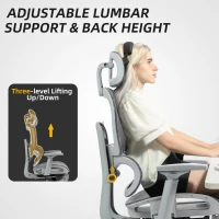 HOMCOM Cadeira de escritório, cadeira de escritório ergonômica em malha com apoios de braço 3D, encosto reclinável, 66x64x122 cm, cinza(m-4)