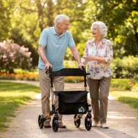 HOMCOM 4 Wheel Rollator with Seat and Back, Folding Mobility Walker with Carry Bag, Adjustable Height, Dual Brakes, Cane Holder, Lightweight Aluminium Walking Frame for Seniors and Disabled, Gold Tone(m-2)