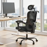HOMCOM Ergonomischer Bürostuhl, Netz-Bürostuhl mit verstellbarer Kopfstütze, Lendenstütze, 64x64x124cm, schwarz(m-2)