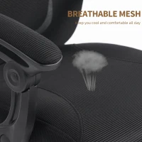 HOMCOM Ergonomischer Bürostuhl, Netz-Bürostuhl mit verstellbarer Kopfstütze, Lendenstütze, 64x64x124cm, schwarz(m-5)