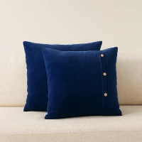 Set of 2 Quinn Cushion with Cotton-Soft Velvet Pile and Plush Filler, Handcrafted Pillow Ideal for Sofa and Bed, 45L x 45W x 15H cm, Blue(m-1)