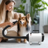 PawHut Sèche-cheveux pour chien pulseur chien professionnel 2200W avec 3 buses différentes faible bruit 3 températures blanc(m-10)