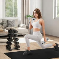 SPORTNOW Support d'haltères à 5 niveaux stockage d'haltères en acier pour musculation Charge 100 kg 35x33x66 cm Noir(m-10)