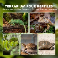 PawHut Boîte à reptiles, boîte d'élevage de reptiles, fermeture sécurisée par rotation, ventilation frontale, 50x30x35cm, noir(m-4)