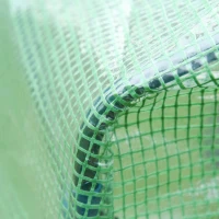 Outsunny Compacte Tuinkweekkas voor Groenten, Fruit en Bloemen - Groen(m-9)