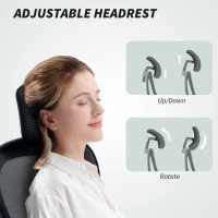 HOMCOM Executive Office Chair, Ergonomic Mesh High Back Desk Chair with Flip-up Armrest, Rotatable Headrest, Adjustable Lumbar Support, Swivel Computer Chair for Home Study, Black(m-6)