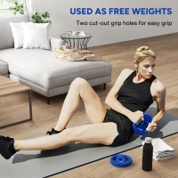 SPORTNOW 2 x 5kg Weight Plates with Easy-Grip Handles, Standard Weights Set with 2.5cm Holes, for Home, Gym, Weight Lifting and Strength Training(m-4)