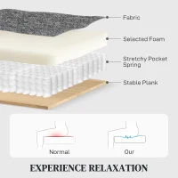 HOMCOM 2 Seater Recliner Sofa, Chenille Manual Recliner Sofa with Adjustable Leg Rest, Pocket Spring for Home Living Room, Grey(m-6)