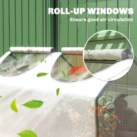 Outsunny Mini Greenhouse Portable Flower Planter Tomato Vegetable House for Garden Backyard with Zipper 120 x 60 x 60 cm, White(m-5)