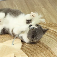 PawHut Cat Scratching Post, 69cm Cat Scratcher with Sisal Post, Interactive Track Ball Toy, Hanging Toy Ball, Feather, 4 in 1 Small Kitten Cat Scratch Post, Oak(m-7)