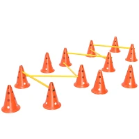 Zestaw Agility dla psów PawHut, 6 elementów, treningowy(m-10)