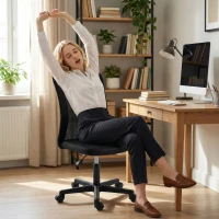 Vinsetto Computer Desk Chair, Armless Mesh Office Chair with Adjustable Height and Rolling Wheels, Black(m-6)