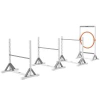 Zestaw Agility dla psów PawHut, 4 elementy, treningowy(m-1)