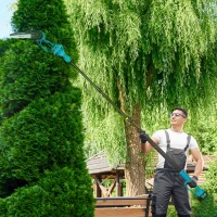 Outsunny 8 Inch 2-in-1 Electric Chainsaw with Telescopic Pole, Cordless Chain Saw with Brushless Motor, 2 Batteries and Safety Lock, Handheld Portable Wood Pruning Saw for Trimming Cutting, Blue(m-2)